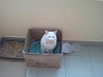     
: Фото2773.jpg
: 63
:	154.0 
ID:	3786489