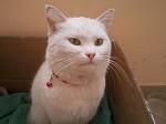     
: Фото2777.jpg
: 81
:	165.7 
ID:	3786490