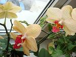     
: DSC03978.jpg
: 25
:	117.1 
ID:	3787878