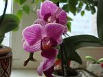     
: DSC03980.jpg
: 25
:	86.9 
ID:	3787880