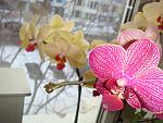     
: DSC03979.jpg
: 25
:	129.9 
ID:	3787884