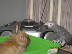     
: IMG_4692.jpg
: 20
:	146.6 
ID:	3788174