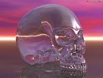     
: crystalskull.jpg
: 15
:	146.4 
ID:	3788657