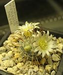     
: IMG_5736.jpg
: 19
:	98.4 
ID:	3788964