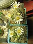    
: IMG_5843.jpg
: 12
:	108.8 
ID:	3788967