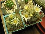     
: IMG_5839.jpg
: 20
:	162.0 
ID:	3788968