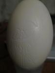     
: IMG_1795.jpg
: 34
:	25.2 
ID:	3788992