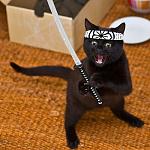     
: 4382442183_024bf53c34.jpg
: 4
:	143.6 
ID:	3789290