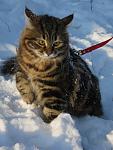     
: IMG_2779.jpg
: 23
:	84.3 
ID:	3795397