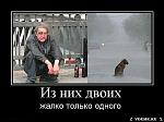     
: соб2.jpeg
: 89
:	45.0 
ID:	3796146
