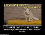     
: соб1.jpeg
: 72
:	46.9 
ID:	3796147