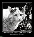     
: соб3.jpeg
: 74
:	49.9 
ID:	3796148
