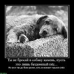     
: соб.jpeg
: 53
:	55.6 
ID:	3796149