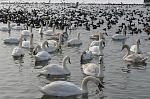     
: DSC_0015.jpg
: 33
:	76.2 
ID:	3799121