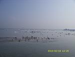     
: SS854869.jpg
: 63
:	68.8 
ID:	3799323