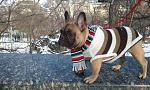     
: 2012-02-18 13.32.50.jpg
: 33
:	179.3 
ID:	3800117