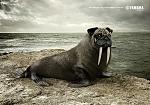     
: x_17b928cd.jpg
: 36
:	76.5 
ID:	3801073