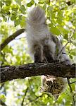     
: 045_pics.jpg
: 18
:	65.1 
ID:	380140