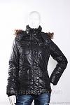     
: 9431540_w640_h640_wma9204_black.jpg
: 12
:	66.3 
ID:	3803206
