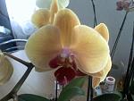     
: 070409105215.jpg
: 28
:	69.4 
ID:	380503