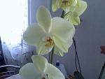     
: 070409105203.jpg
: 25
:	55.6 
ID:	380504