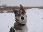     
: IMG_2534.jpg
: 29
:	72.9 
ID:	3805305