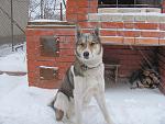     
: IMG_2548.jpg
: 24
:	132.8 
ID:	3805318