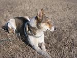     
: IMG_2522.jpg
: 28
:	302.7 
ID:	3805324