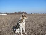     
: IMG_2518.jpg
: 20
:	199.0 
ID:	3805325