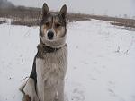     
: IMG_2540.jpg
: 22
:	77.7 
ID:	3805329