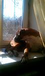     
: IMAG0398.jpg
: 20
:	112.1 
ID:	3812189