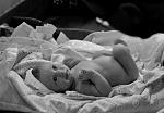     
: _DSC0024686.jpg
: 25
:	151.7 
ID:	3812467
