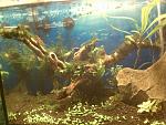     
: IMG_20120221_111836.jpg
: 68
:	170.7 
ID:	3813486