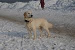     
: DSC_0377.jpg
: 58
:	60.9 
ID:	3816585