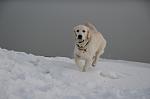     
: DSC_0365.jpg
: 62
:	165.5 
ID:	3816588
