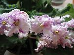     
: IMG_1902.jpg
: 58
:	99.7 
ID:	3818915