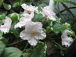     
: IMG_2170.jpg
: 37
:	128.3 
ID:	3818950