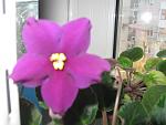     
: IMG_2172.jpg
: 40
:	88.7 
ID:	3818951