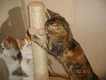     
: DSCN2705.jpg
: 60
:	116.2 
ID:	3821206