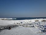     
: IMG_0885.JPG
: 62
:	114.7 
ID:	3822576