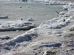     
: IMG_0886.JPG
: 62
:	177.0 
ID:	3822578