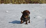     
: IMG_0884.JPG
: 117
:	114.3 
ID:	3822582