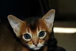     
: 3.1.jpg
: 79
:	53.0 
ID:	382557