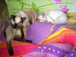    
: DSC_0160.jpg
: 26
:	141.1 
ID:	3826863