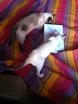     
: DSC_0179.jpg
: 21
:	80.5 
ID:	3826864