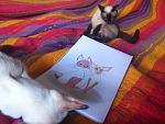     
: DSC_0184.jpg
: 23
:	135.2 
ID:	3826866