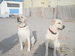     
: DSCN0890.jpg
: 26
:	127.9 
ID:	3829365