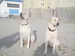     
: DSCN0892.jpg
: 66
:	127.3 
ID:	3829366