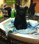     
: IMG_0155.jpg
: 30
:	123.4 
ID:	3829927