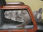     
: IMG_2008.jpg
: 34
:	139.0 
ID:	3830412